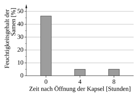 Balkendiagramm zur Feuchtigkeit der Samen nach Öffnung der Kapsel über mehrere Stunden
